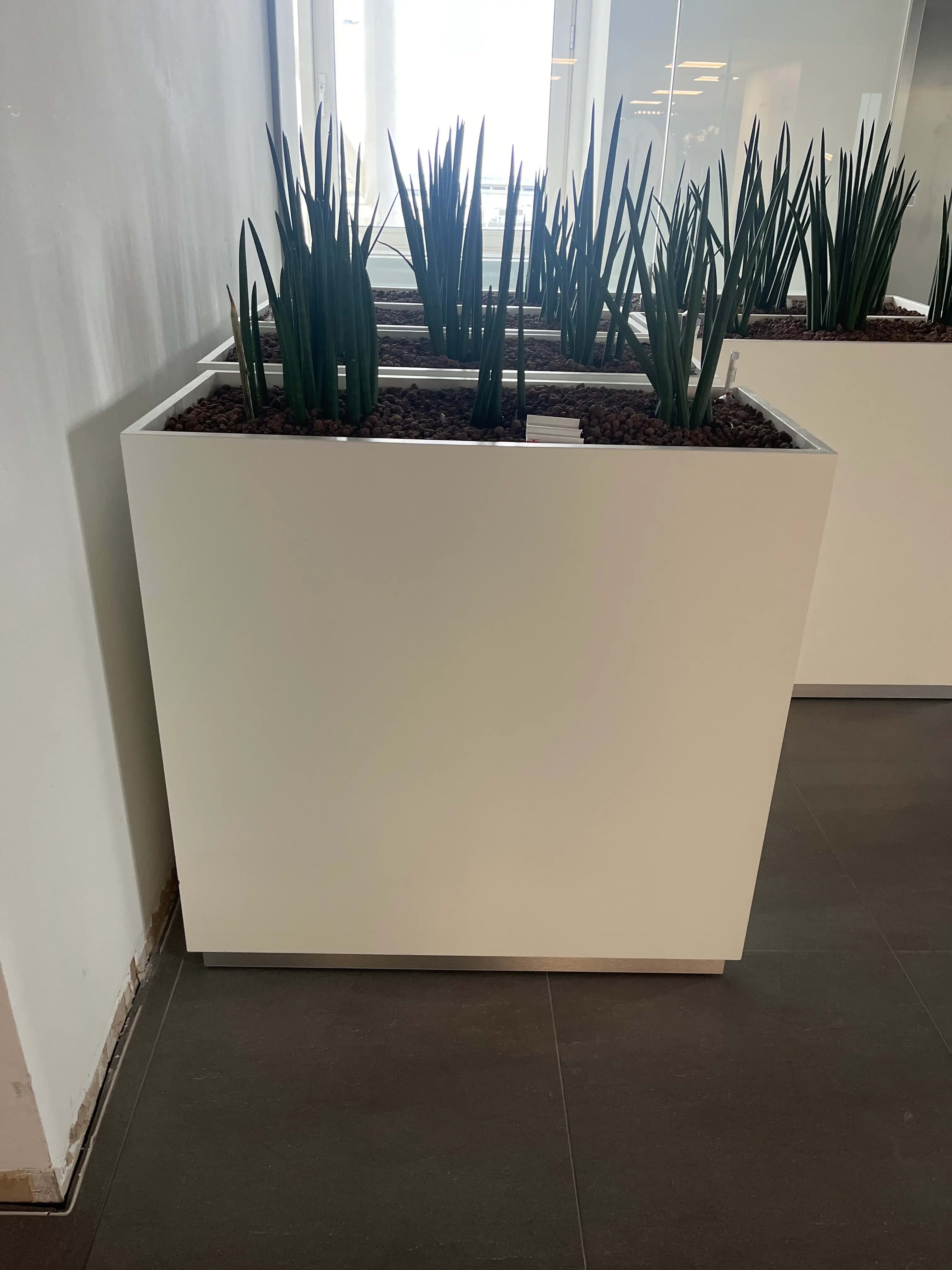 White Metal Planter Box with Modern Design