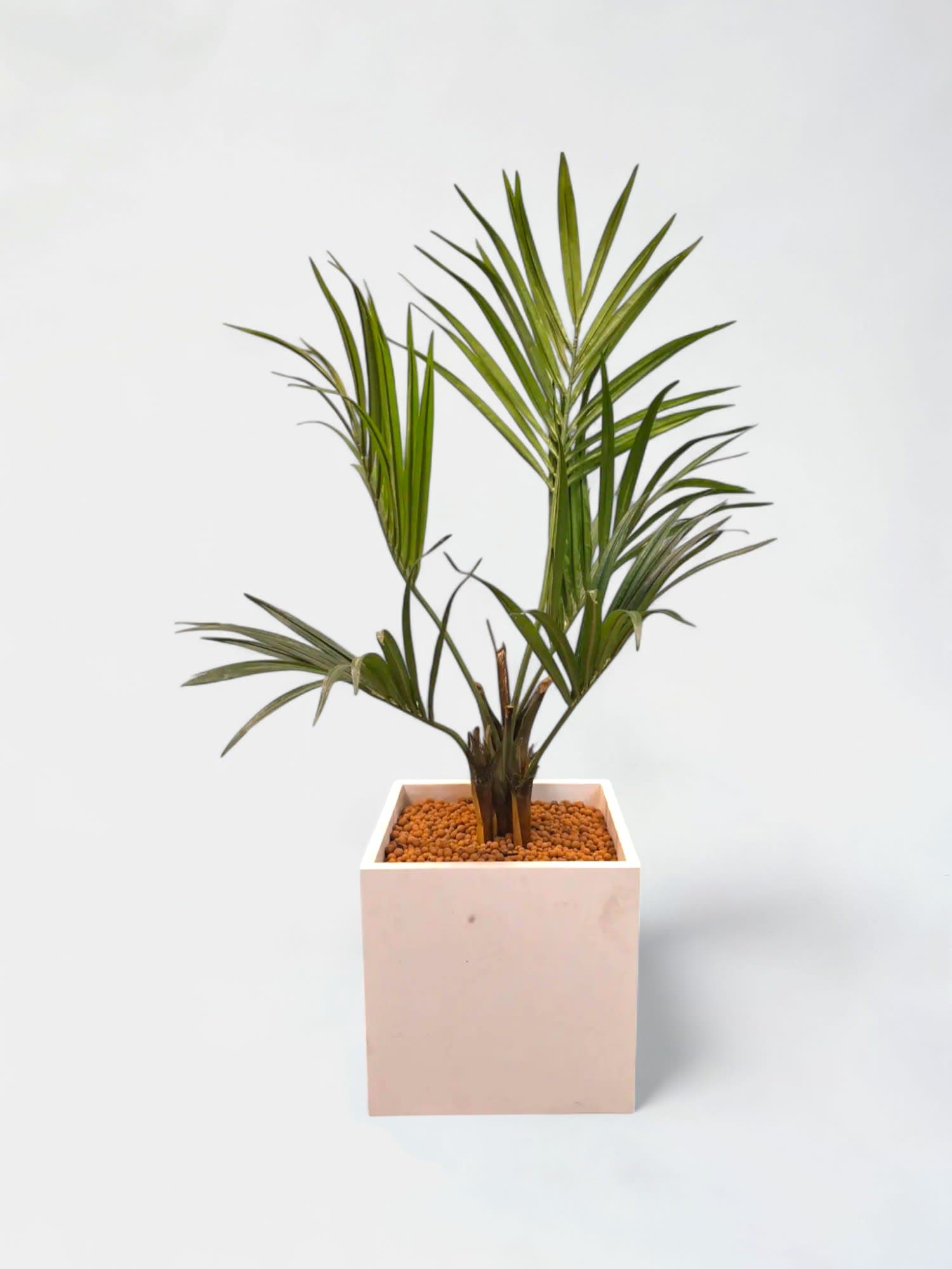 Fake plant in a White square pot 40cm