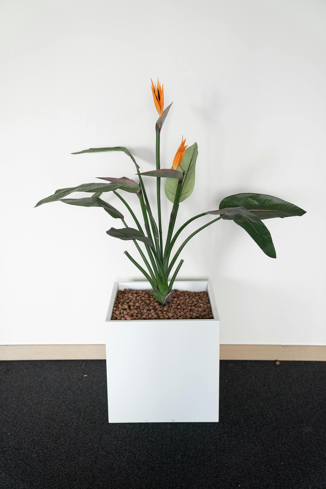 Square planter - Orange flower - Relieve Furniture