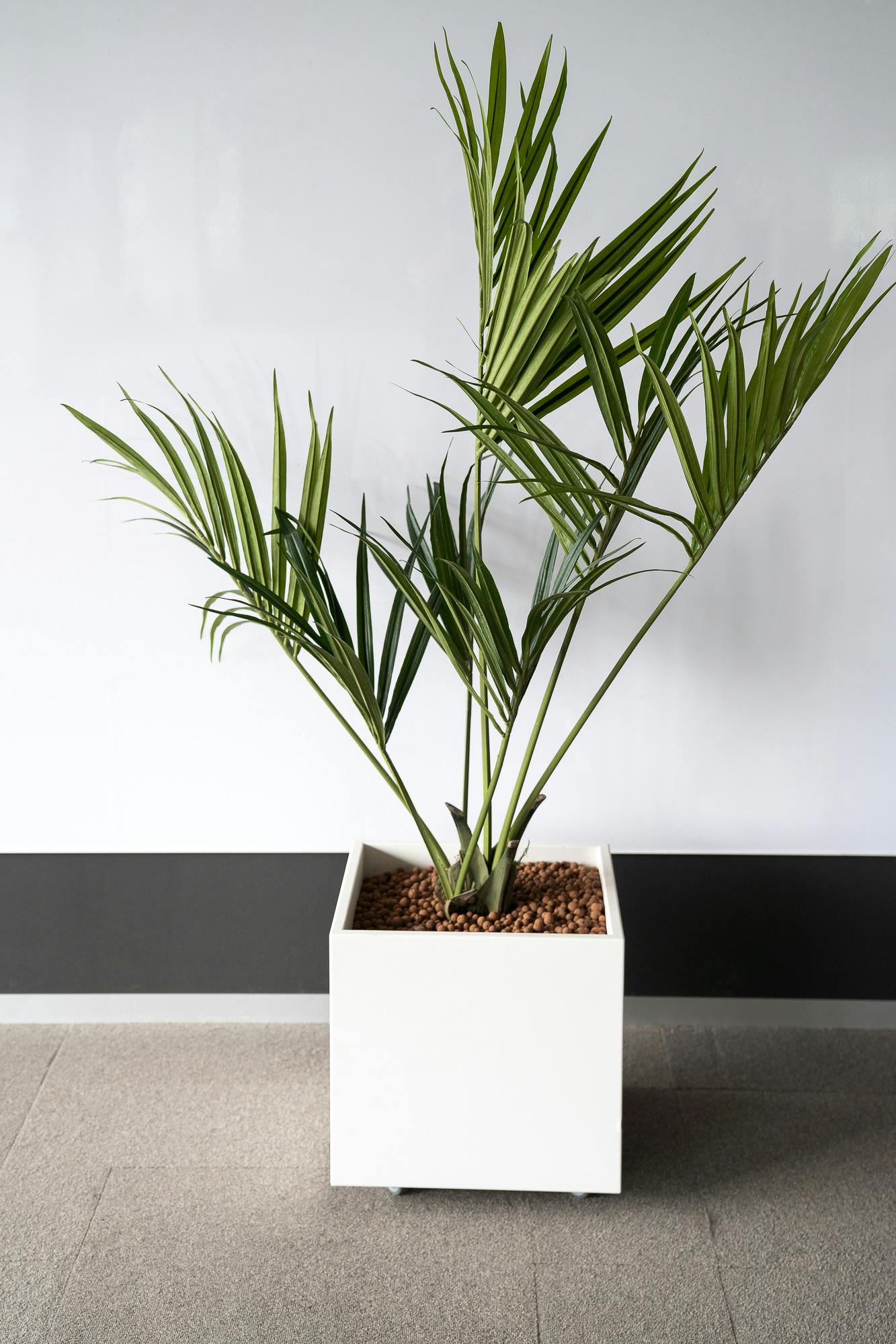 Square planter - Palm trees - Relieve Furniture