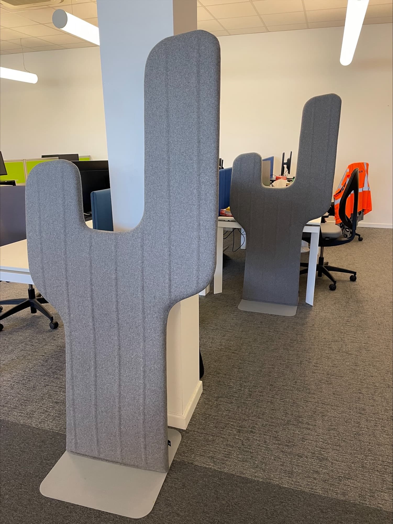 Buzzi Space grey cactus accoustic