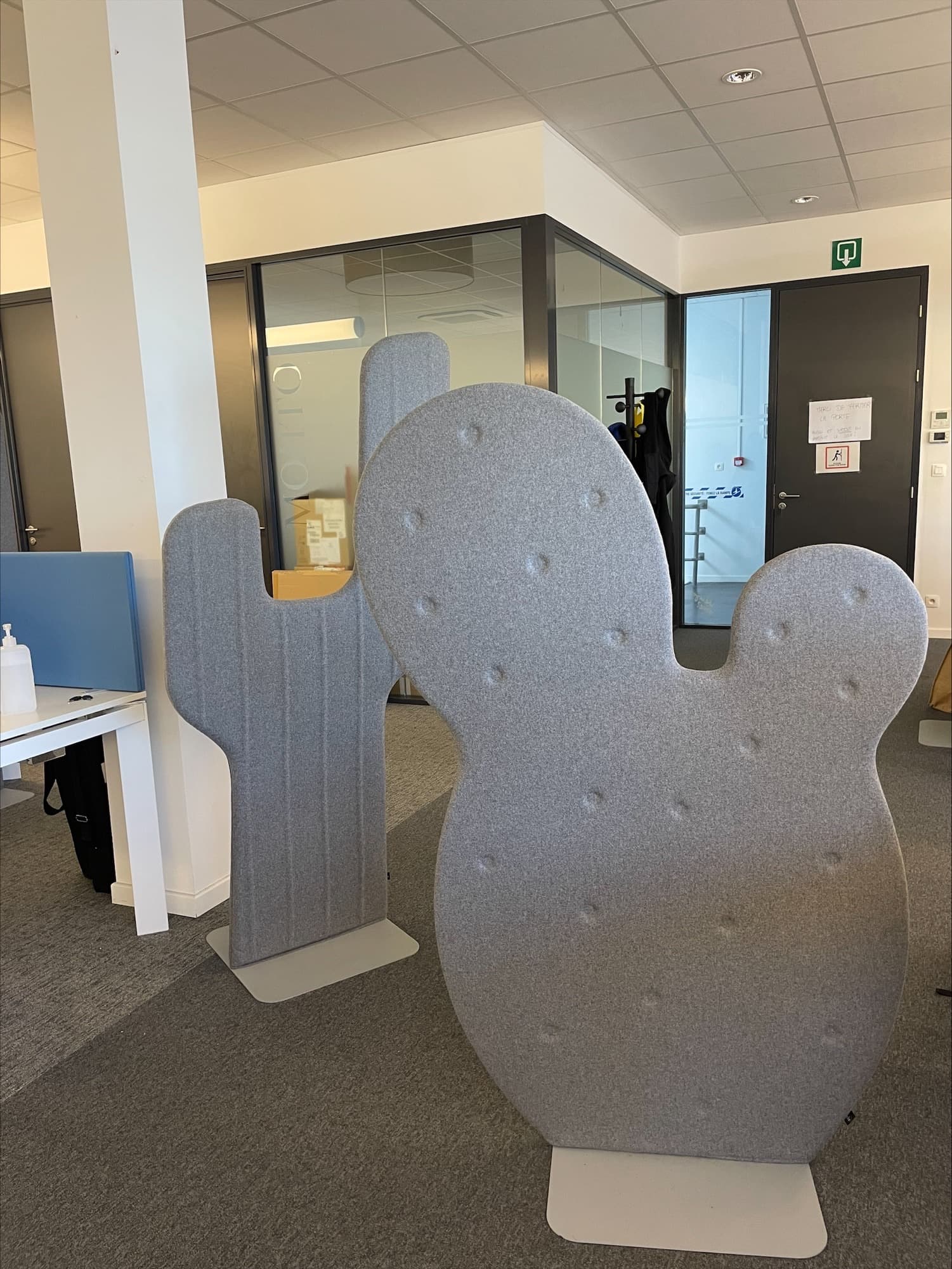 Buzzi Space grey cactus accoustic